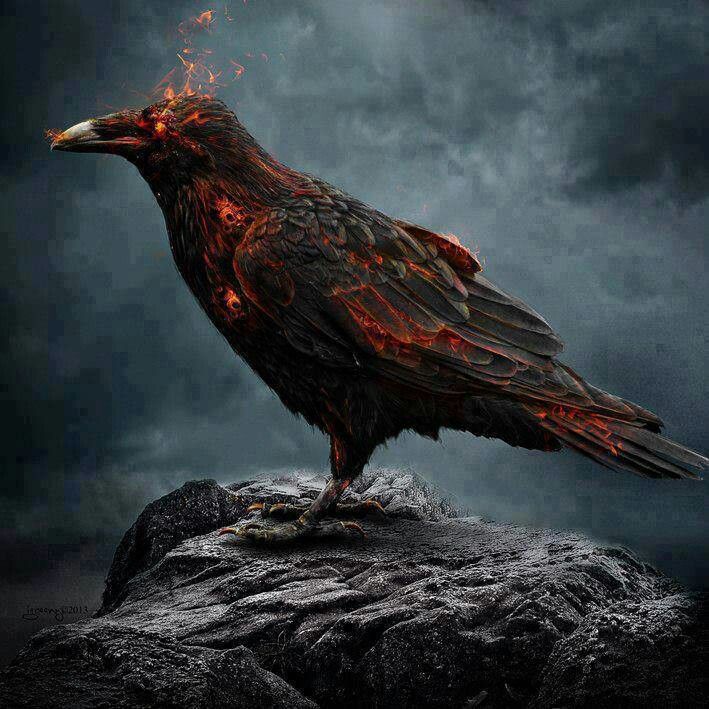 1ec0f980393ab0baead4adb03f72d017--crows-ravens-the-crow.jpg